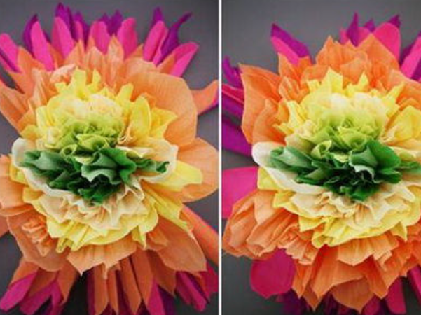 Gợi ý cách làm hoa ngũ sắc bằng giấy tuyệt đẹp