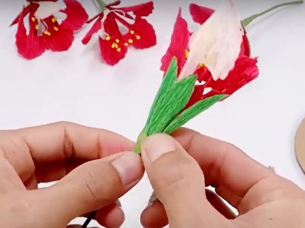 Hướng dẫn cách làm hoa phượng bằng giấy nhún tuyệt đẹp