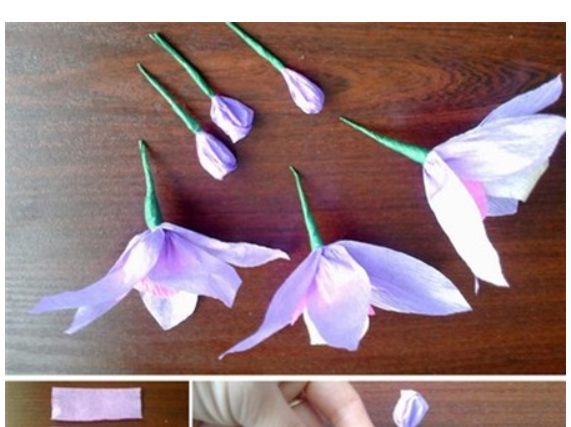 Cách làm hoa phong lan bằng giấy nhún tuyệt đẹp