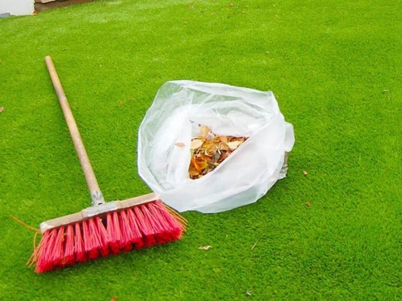 Hướng dẫn bạn vệ sinh thảm cỏ nhân tạo trong nhà siêu dễ và siêu sạch