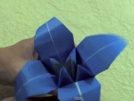 Khéo tay với cách gấp hoa ly bằng giấy origami nghệ thuật và rất đơn giản