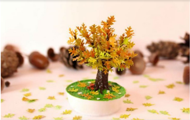 Tận hưởng không khí và hương vị mùa thu nhờ sáng tạo từ chậu cây mini!