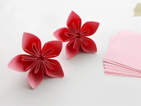 Bật mí cho bạn cách gấp hoa anh đào bằng giấy origami ai cũng biết làm