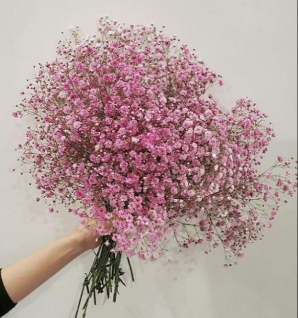 Nên sử dụng hoa khô hay sử dụng hoa giả để trang trí nhà của của bạn ?