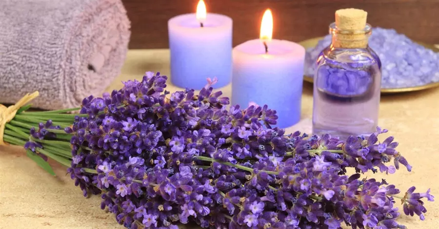Cách làm hoa lavender khô tuyệt đẹp, hãy thử ngay!