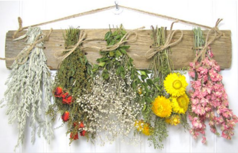 Bạn đã biết những điều gì về hoa khô?Công dụng nổi bật gì của hoa khô?