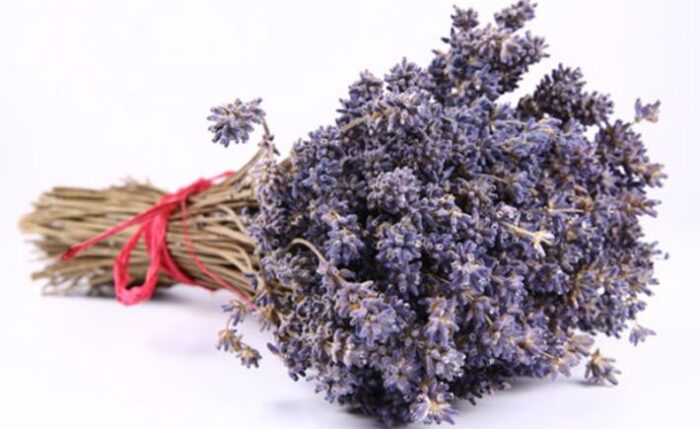 Tìm hiểu hai cách làm hoa lavender khô cực đơn giản bạn nên thử tại nhà