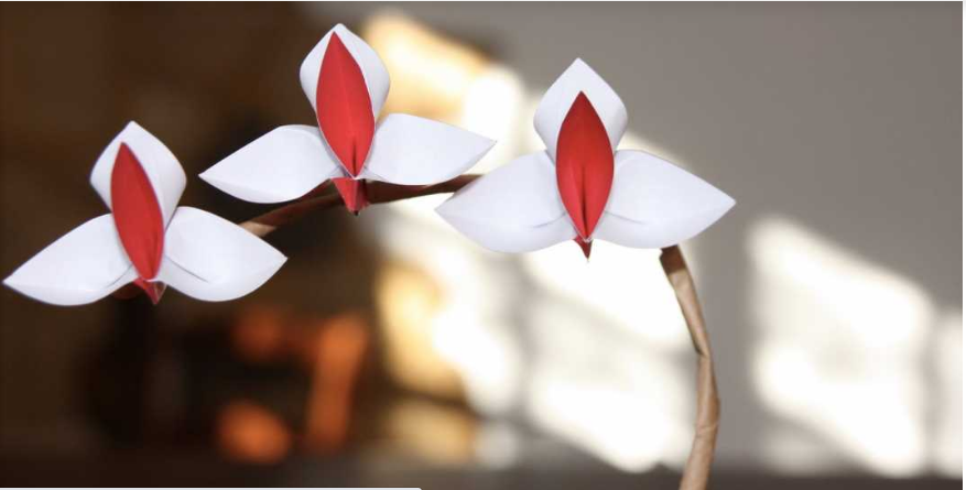 Tạo hình hoa lan đẹp hút mắt với phong cách gấp giấy Origami cực độc đáo
